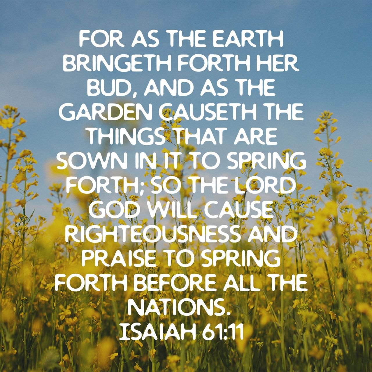 0 1695122002766 45784338 1695029838721