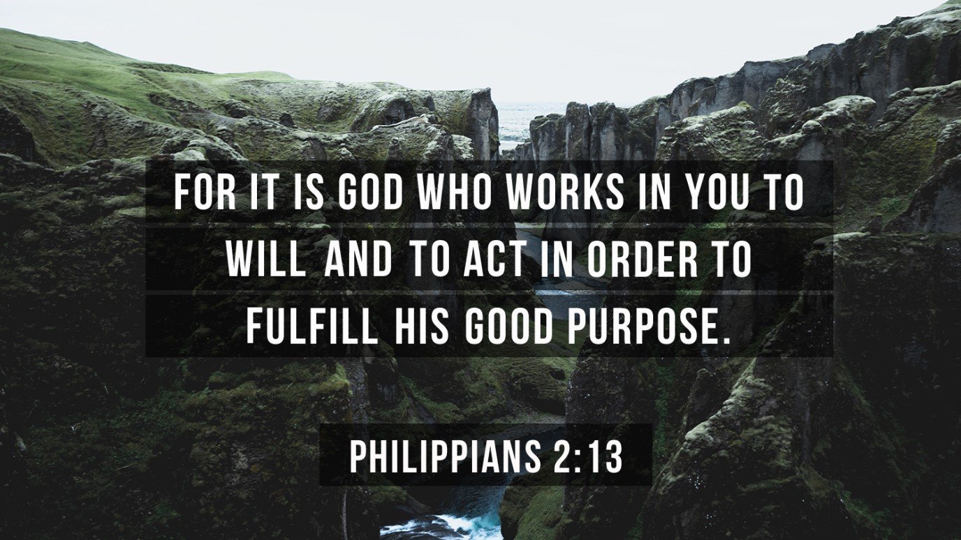 Philippians 2 13 OriginalWithCut 774x1376 90 CardBanner