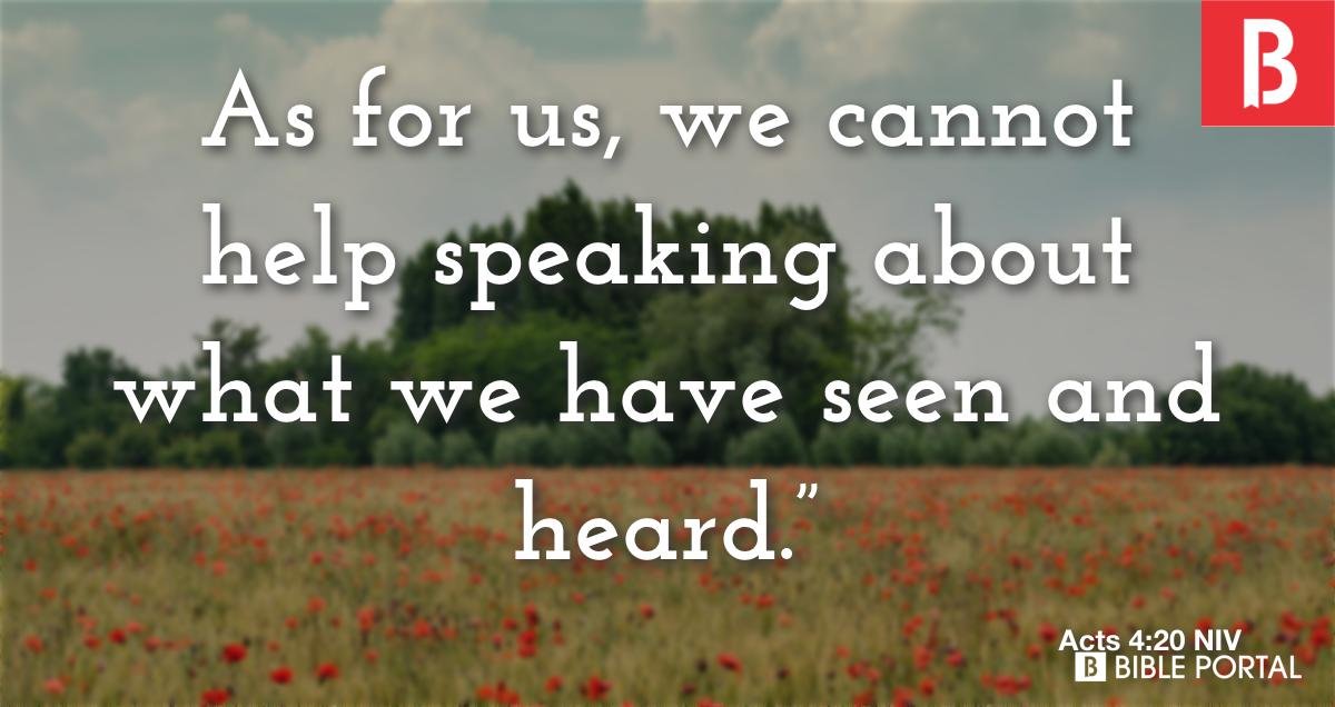 acts420 as for us we cannot help speaking about what we have seen and heard NIV 18204 4 wide