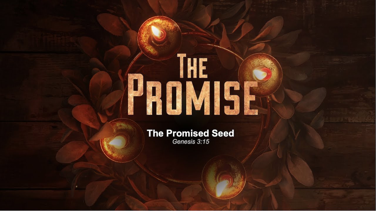 promisedseed