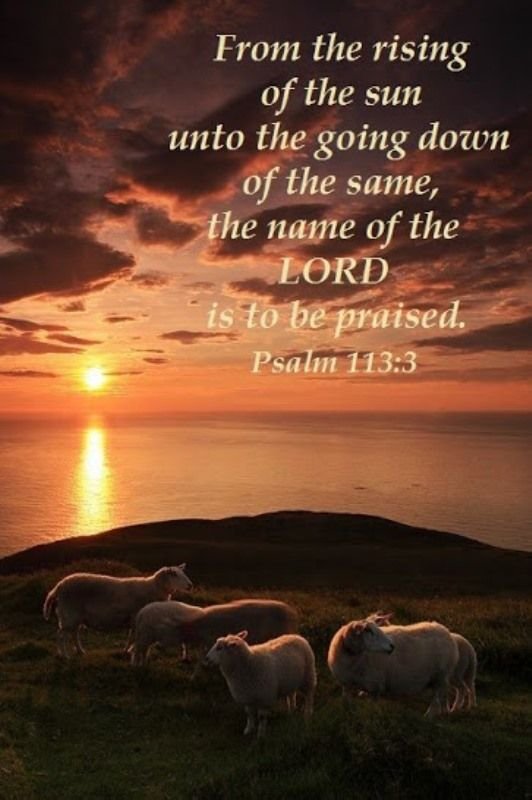 psa 113.3